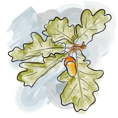 Oak twig clipart