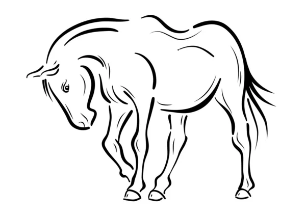 Cavallo illustrato — Vettoriale Stock
