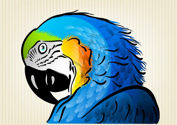 Blue parrot — Stock Vector
