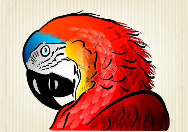 Papagaio-vermelho —  Vetores de Stock