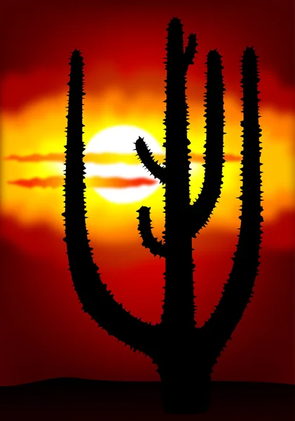 Zachód słońca w Meksyku — Zdjęcie stockowe