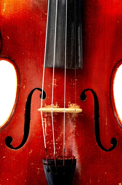 Fiddle ! — Photo