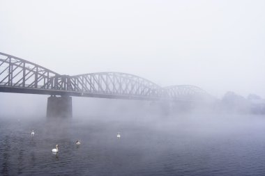 Bridge in the fog clipart