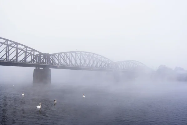 Ponte no nevoeiro — Fotografia de Stock