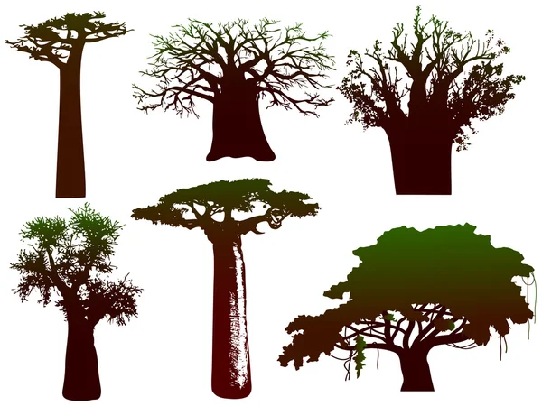 Различные деревья Африки - вектор — стоковый вектор