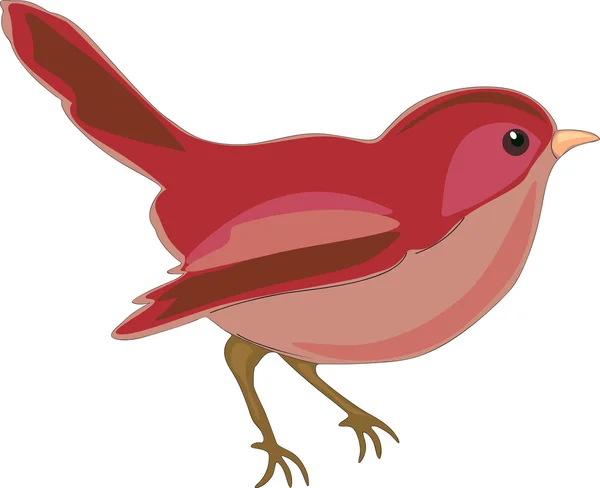 Vogel illustratie — Stockvector