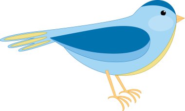 Bird illustration clipart