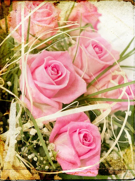 Розовые розы — стоковое фото