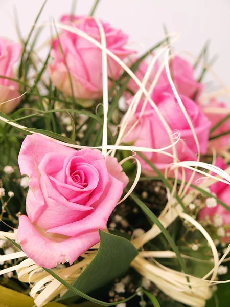 Růžové růže — Stock fotografie