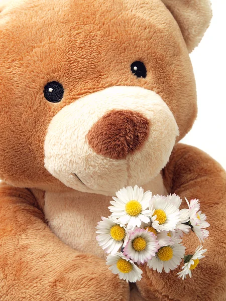 Teddybeer met bloemen — Stockfoto