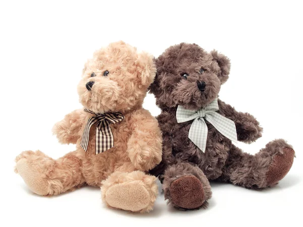 Медведи Тедди — стоковое фото