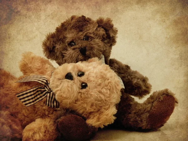 Медведи Тедди — стоковое фото