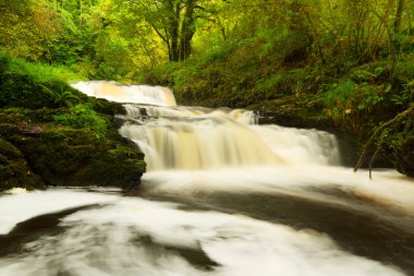 Beautiful cascades of Clare Glens clipart