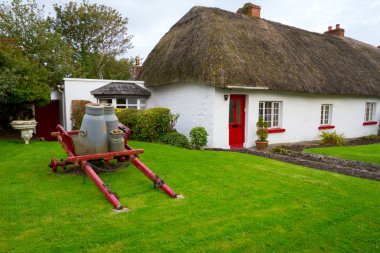 Traditional cottage houses in Adare clipart