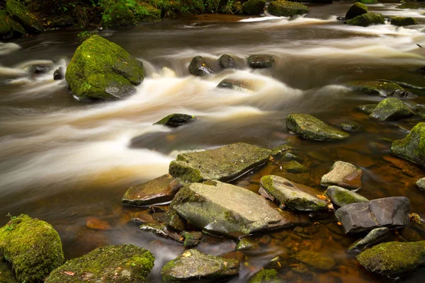 Piękne potoku clare dolin — Zdjęcie stockowe