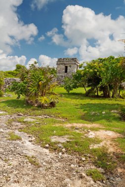 arkeolojik kalıntıları: tulum