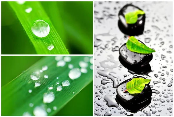 Collage of spa stones and drops od dew — Stock Photo, Image
