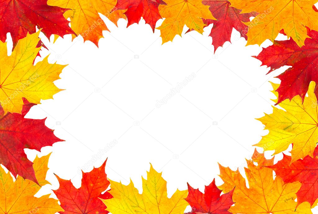 Colorful Fall leaves