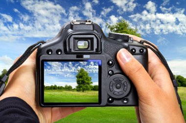 Landscape photography clipart