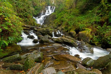 Torc waterfall in Killarney National Park clipart