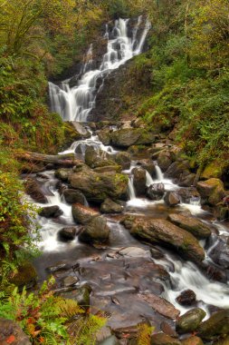 Killarney Ulusal Parkı 'nda Torc Şelalesi