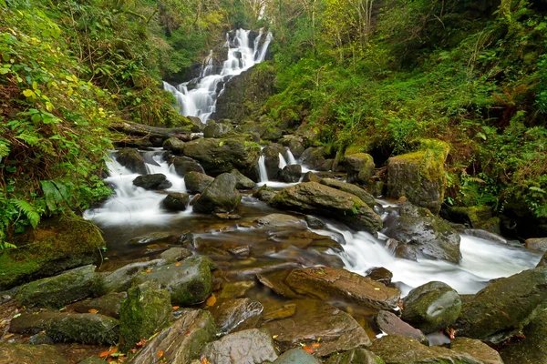 Wodospad Torc w Parku Narodowym Killarney — Zdjęcie stockowe