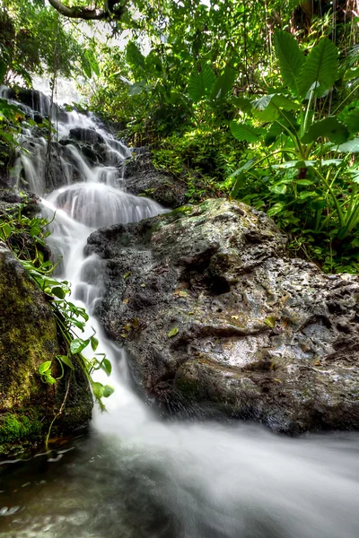 Cascades dans la jungle mexicaine — Photo