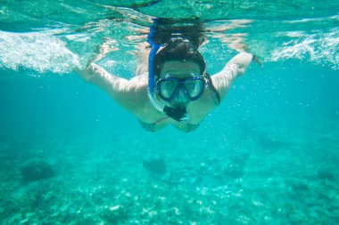Karayip denizinde şnorkelle yüzmek