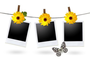 Blank photo frames on a clothesline clipart