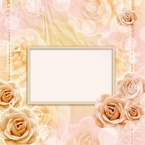 Beautiful Roses Background — Stock Photo, Image