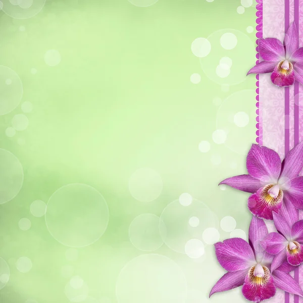 Vackra orkidé gränsen — Stockfoto