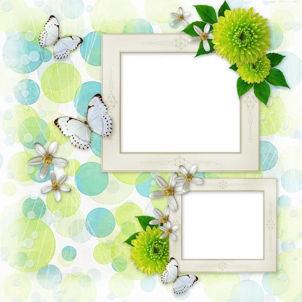 Green and blue bokeh background with decorative frames, butterfl — Stock Photo, Image