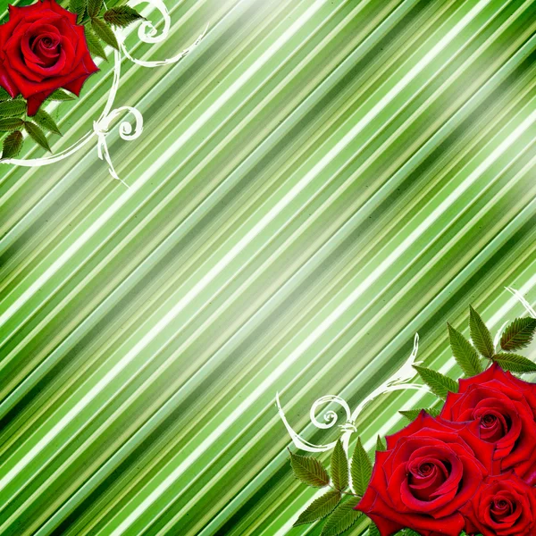 Rosas rojas con marco sobre fondo verde rayado —  Fotos de Stock