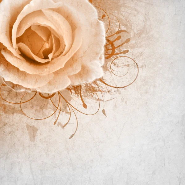 Fondo de boda beige con rosas — Foto de Stock