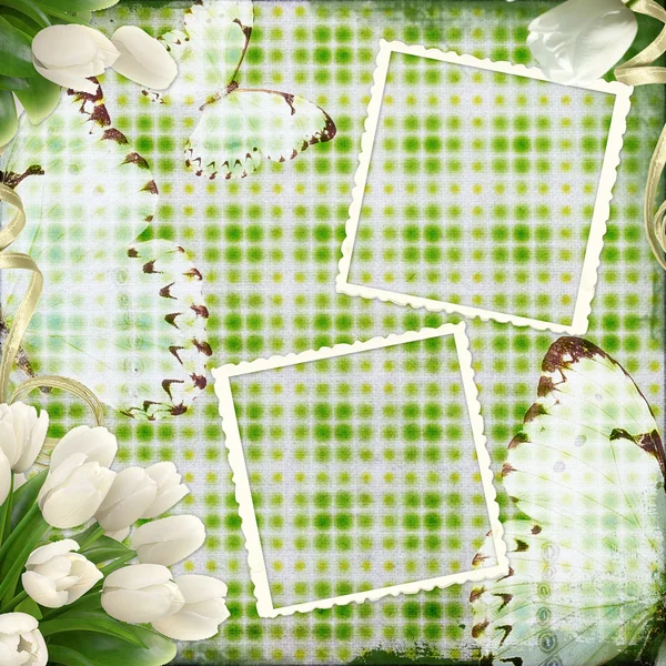 Тряпичный текстильный фон в зеленом цвете с рамками, тюльпанами, бабочкой — стоковое фото