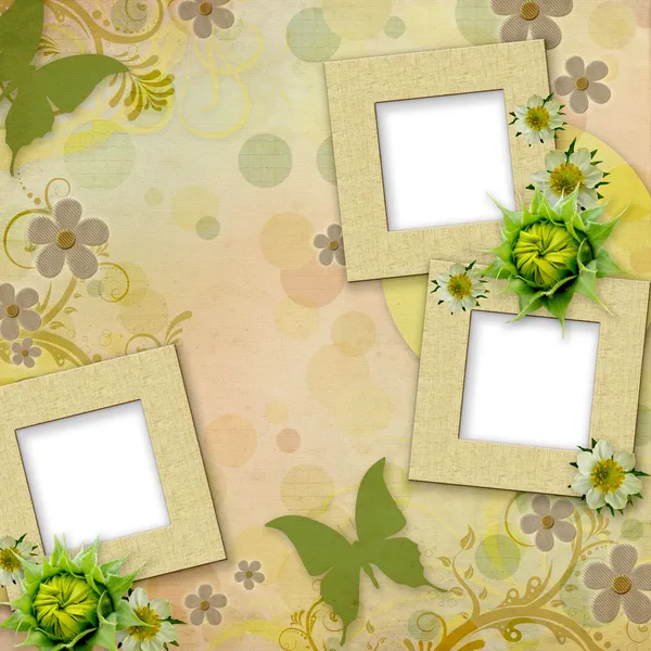 Summer frames with green butterfly, flowers — Stok fotoğraf