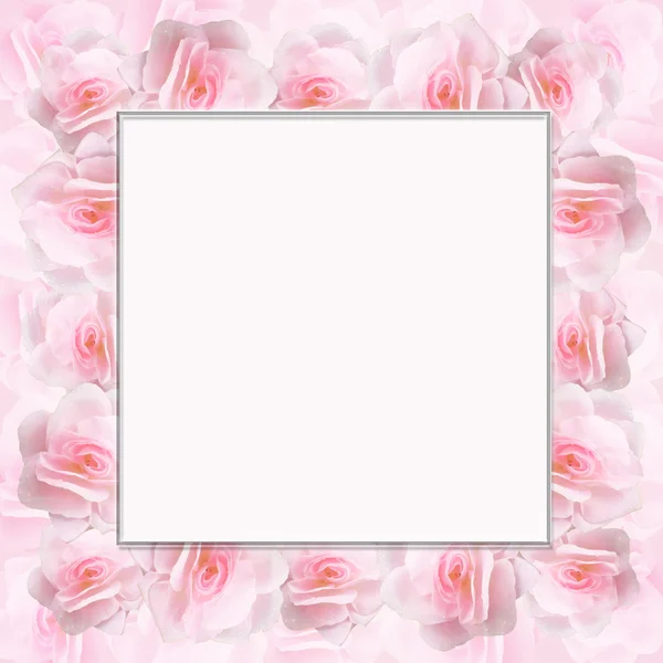 Frame van rozen bruiloft — Stockfoto