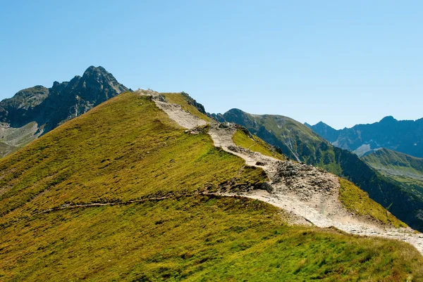 Zakopane的Tatra山区国家公园 — 图库照片