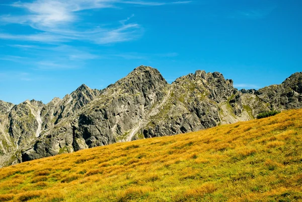 Parco nazionale dei Monti Tatra a Zakopane — Foto Stock