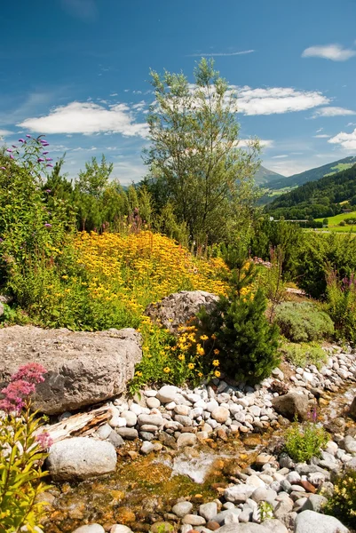 stock image Alpine mountains