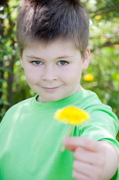 En pojke med en bukett maskrosor i parken — Stockfoto