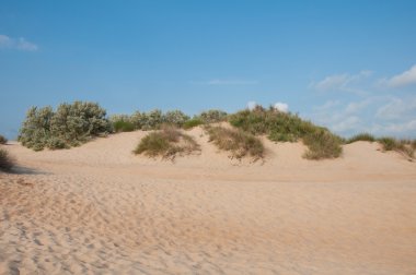 anapa, Rusya yakın Karadeniz kıyısından kum tepeleri