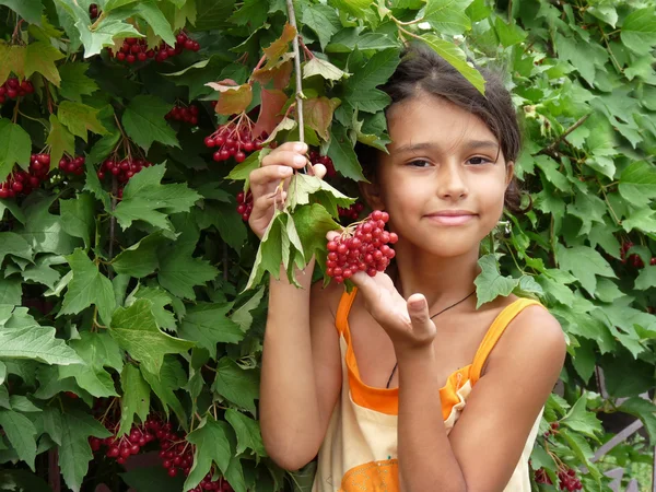 The girl standing beside a red viburnum — Stock Photo, Image