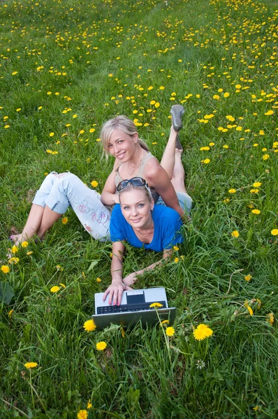 Дві студентки з ноутбуком у парку — стокове фото