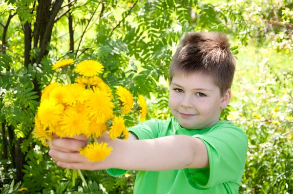 A boy with a bouquet of dandelions in the park — Stock Photo, Image