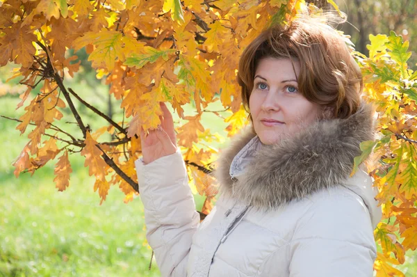 Bella giovane donna nel parco autunnale con le foglie — Foto Stock