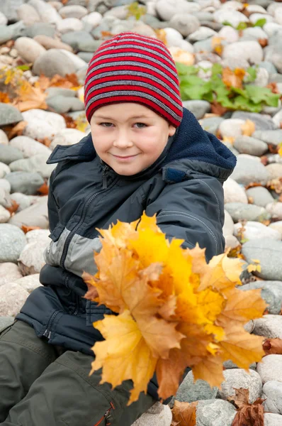Chłopiec w parku jesień z kilka klon liście — Zdjęcie stockowe