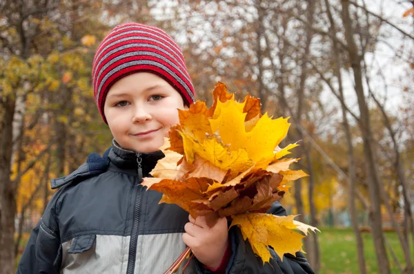 Il ragazzo nel parco autunnale con un mucchio di foglie d'acero — Foto Stock