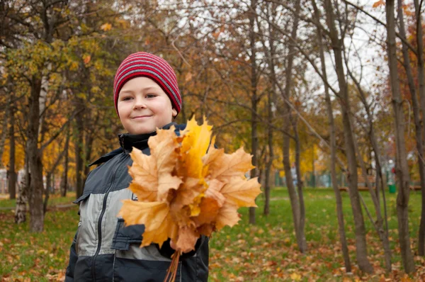 メープルの束と秋の公園で少年の葉します。 — ストック写真