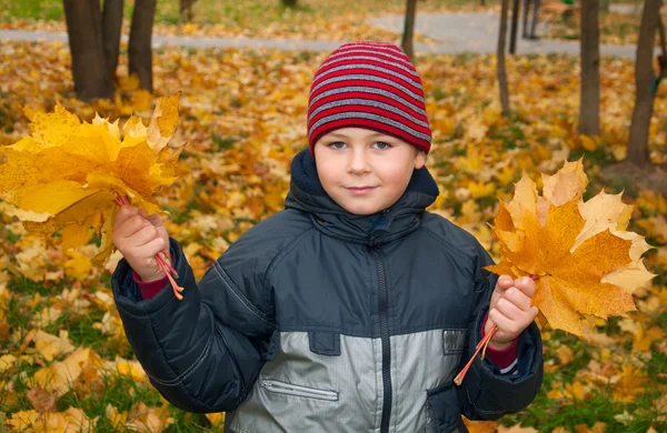 The Boy in the autumn park with a bunch of maple leaves — Stock Photo, Image